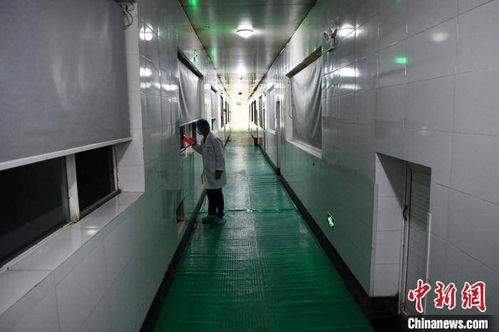 四川凉山“蟑螂豪宅” 60亿只美洲大蠊的奢华生活