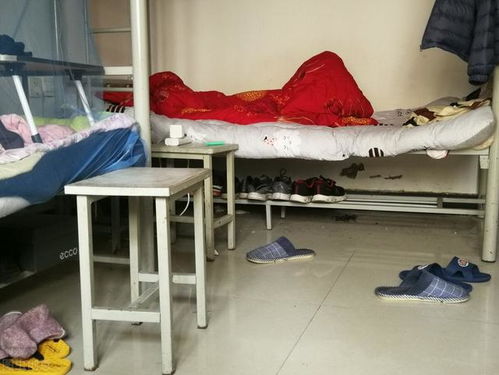 打工往事 住工厂宿舍，我看到了那些赌徒的百态人生